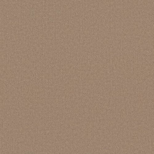 Backdrop I 12