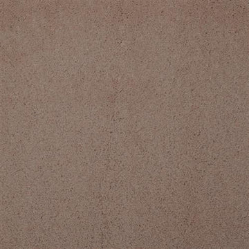 Vicuna