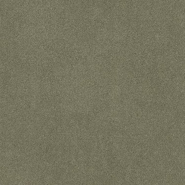 Silver Sage
