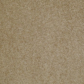 Plaster