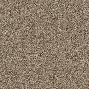 Suede Buff