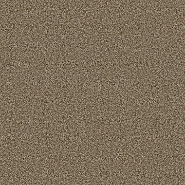 Safari