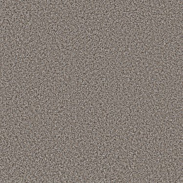Fossil