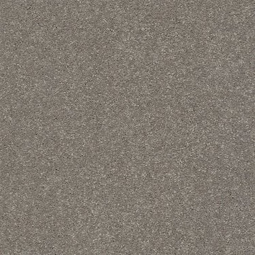 Taupe Stone