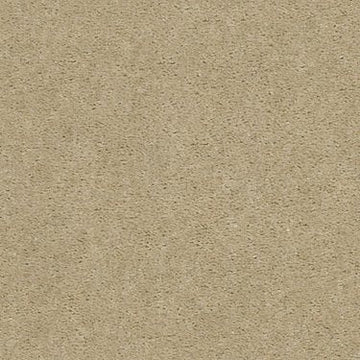 Silk Thread