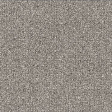 Sand Swept