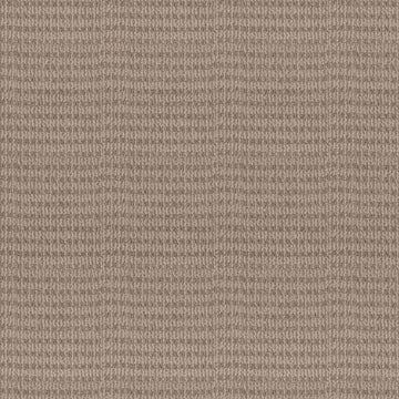 Dark Maple