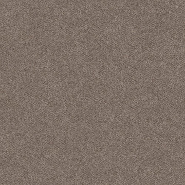 Saddle Tan