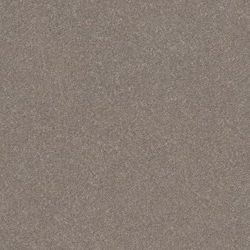 Anew Grey