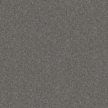 Sea Ice