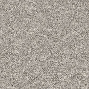 Blond Wood