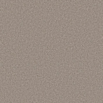 Daytona Sand
