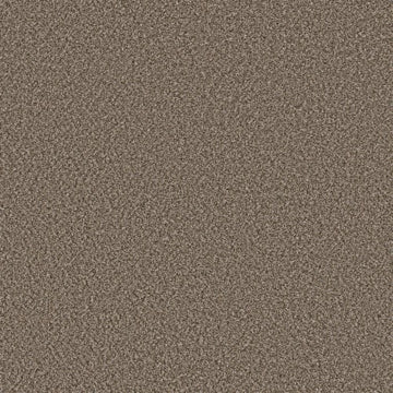 Mocha Latte'