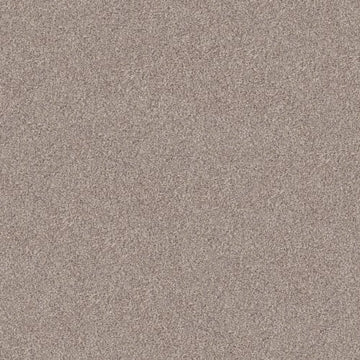 Pale Ecru
