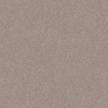 Pale Ecru