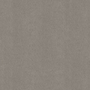 Antique Gray