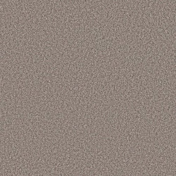 Chic Taupe