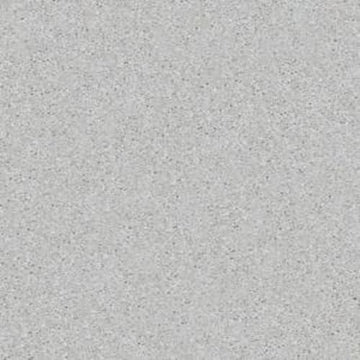 Sheer Silver