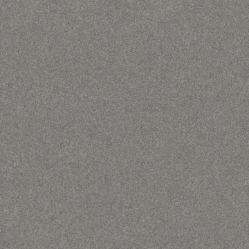 Grey Fox
