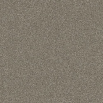 Macadamia