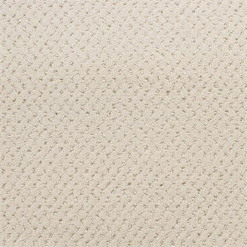 Baked Linen
