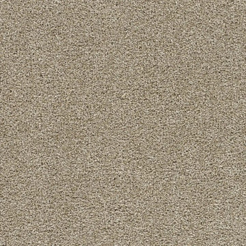 Dust