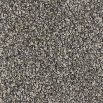 Iron Sands