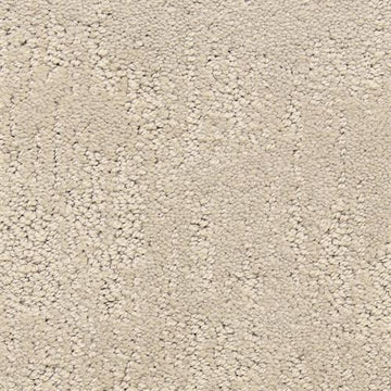 Plaster