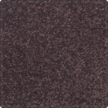 Vintage Plum