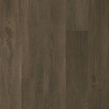Forest Brown