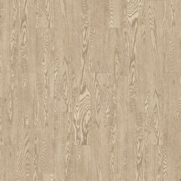 Crowned Kinglet Oak