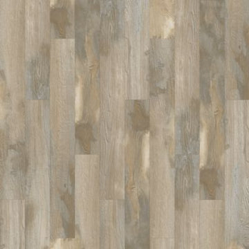 Sedge Wren Oak