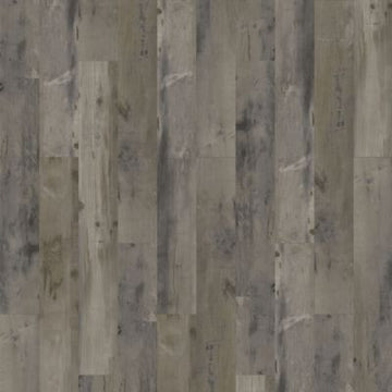 Caracara Pine