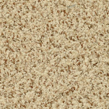 Pebble Mosaic