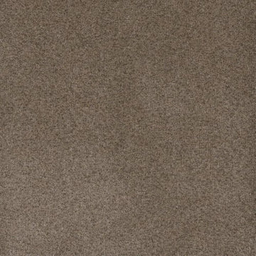 Shellbark