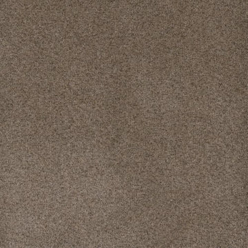 Shellbark
