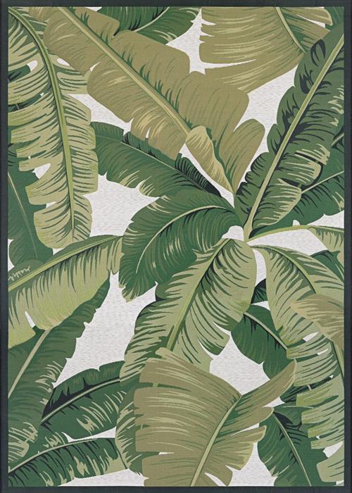 Dolce - Palm Lily