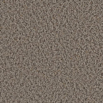Rugged Suede