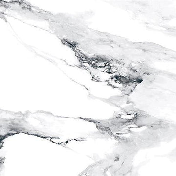 Blanco Polished - 36x72