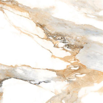 Beige Polished - 24x24
