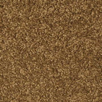 Ground Nutmeg
