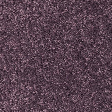 Elderberry