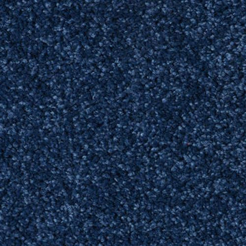 Sapphire Lace