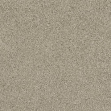 Gray Whisper