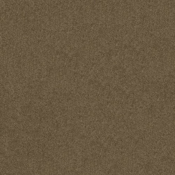 Vicuna