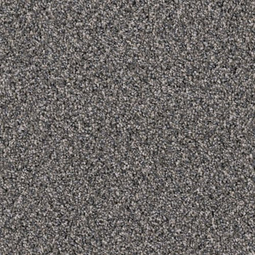 Iron Sands