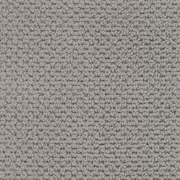 Dolphin Grey