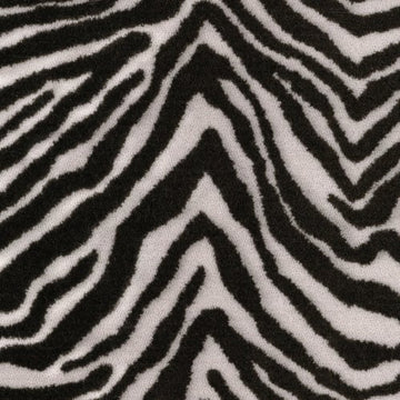 Plains Zebra