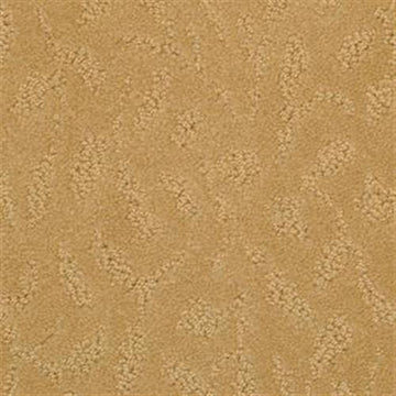 Terra Cotta