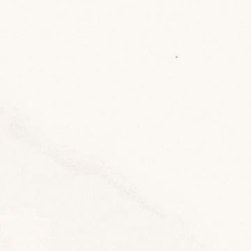 Calacatta Gold 3.75x12